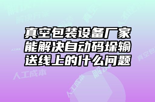 真空包裝設(shè)備廠家能解決自動(dòng)碼垛輸送線上的什么問(wèn)題